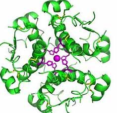 Diabetes en el embarazo, la diabetes gestacional