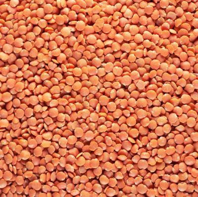 red lentils