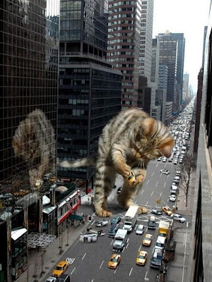 Watch as Catzilla Attacks Seen On www.coolpicturegallery.us