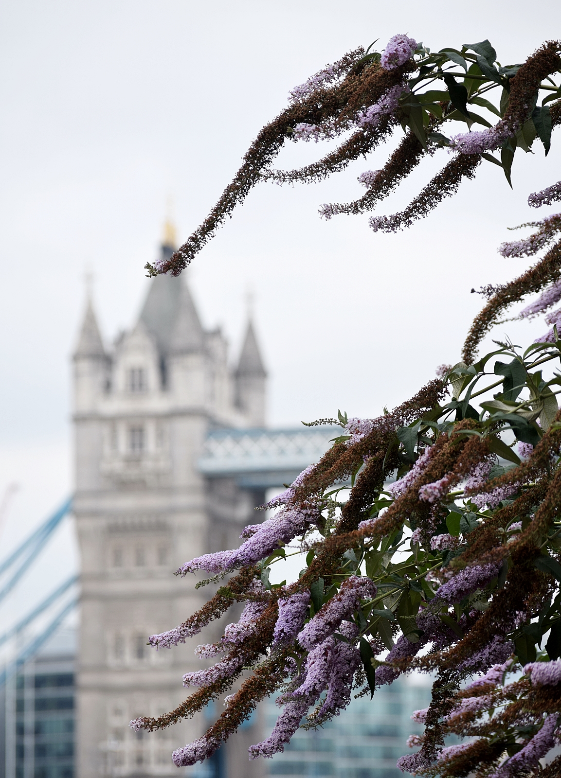 Tower Bridge, London