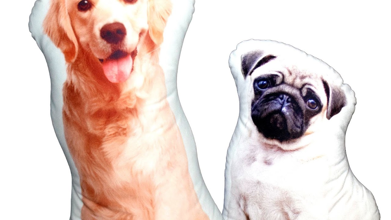 Personalized Pet Pillows