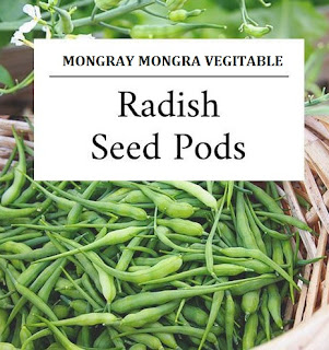 radish-pods-mongray-mogri-singra-origins-benefits-uses-recipes