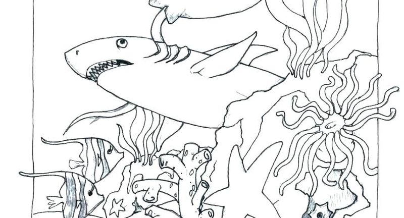 ocean waves coloring pages for adults