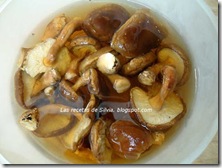1 HONGOS SHIITAKE