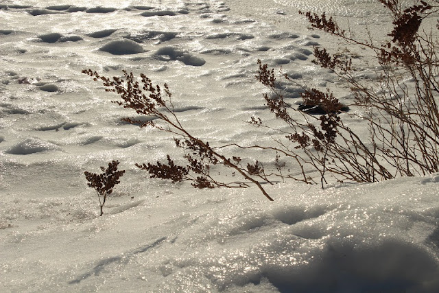 Sparkling ice on the snow drifts