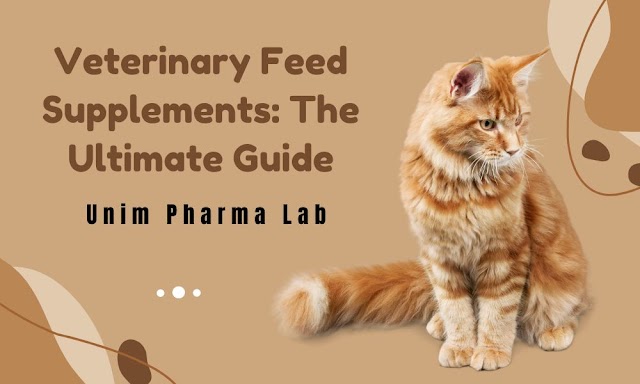  Veterinary Feed Supplements: The Ultimate Guide