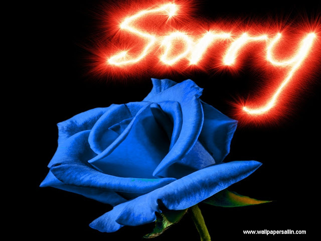 i am sorry wallpapers