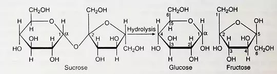 कार्बोहाइड्रेट (Carbohydrate):Introduction,Classification,Function|Hindi