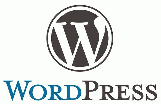 What is WordPress Beginners Guide