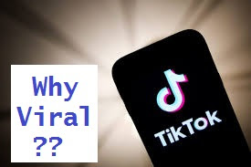 Why Mobile Applications like Tiktok become viral / trend so fast in India? 