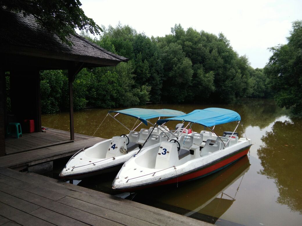 Mini Boat