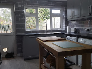 I love that my kitchen has a dishwasher. And looks pretty!