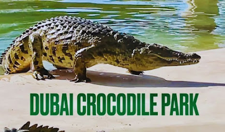 Dubai Crocodile Park