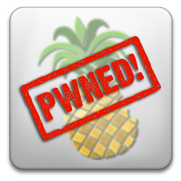 pwnagetool-pwned-2011-04-4-14-20.png