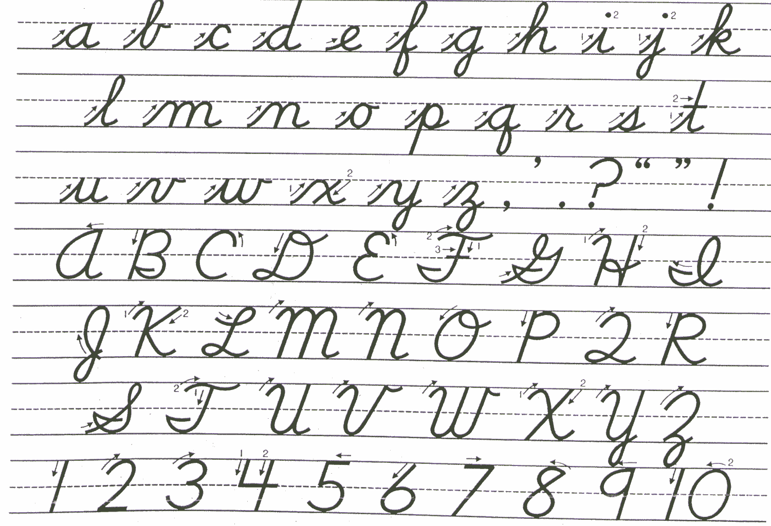 Lamont beagle: cursive Writing exercises