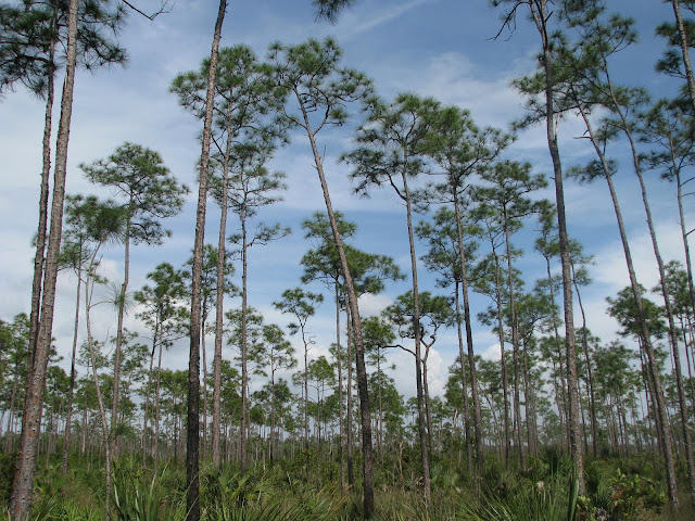 Everglades National Park