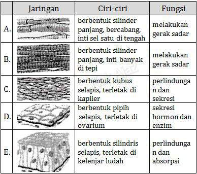 Pembahasan Biologi UN 2021 No 11 15