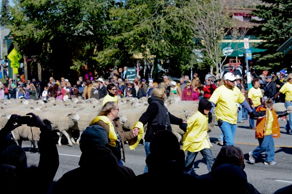 Trailing of the Sheep Festival