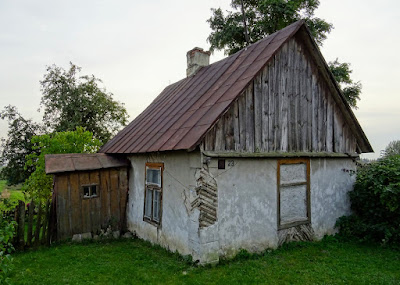 Zdjęcie: