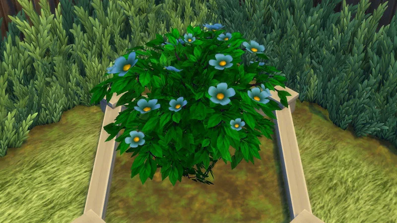 The Sims 4 Outdoor Plants