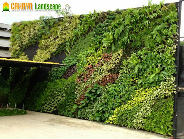 Jasa Pembuatan Taman Vertical Garden/Taman Dinding