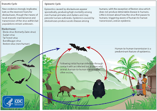 Penyebaran Penyakit Ebola
