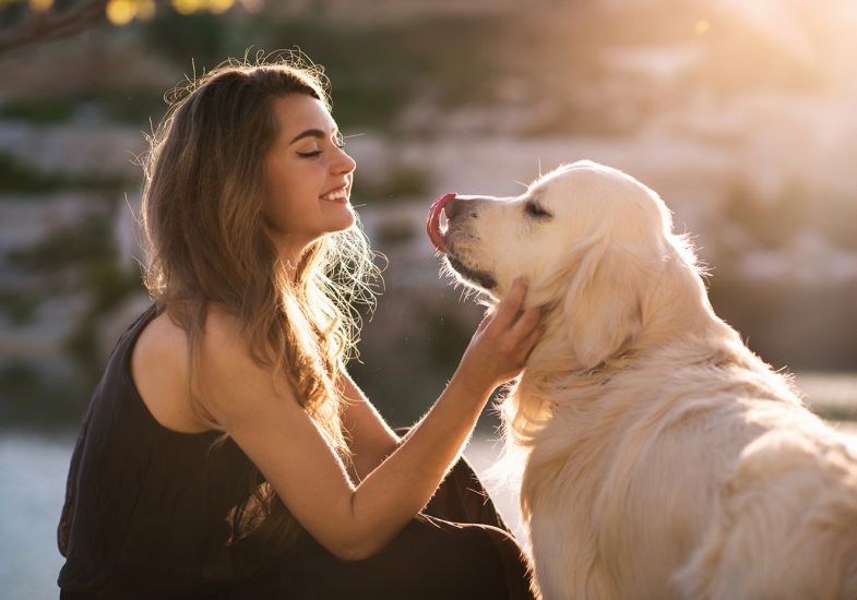 Resultado de imagem para Segundo estudo, amor entre cachorro e dono Ã© o mesmo de mÃ£e e filho