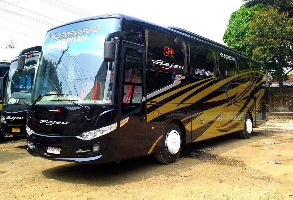 Profil Po Bejeu  Jalur Bus  Informasi Seputar Bus  Indonesia