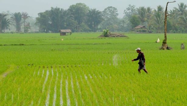 Mengapa Negara Maju Tidak Tergantung Pada Alam 