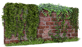 pared,muro,png,medianera,enredadera,plantas,recursos,arquitectura,photoscape,photoshop,gimp,scrap