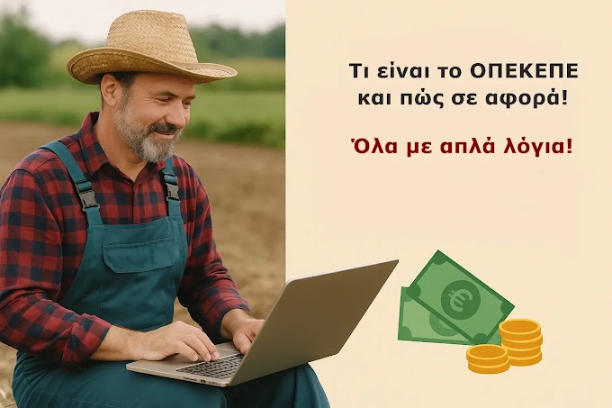 Τι είναι ο ΟΠΕΚΕΠΕ και πώς σε αφορά – Όλα με απλά λόγια!