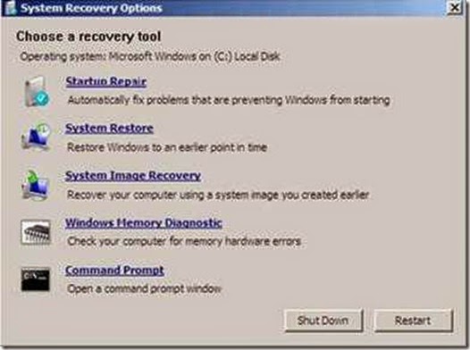 SystemRecoveryOption
