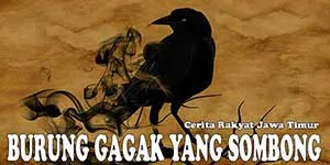 Burung Gagak yang Sombong