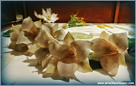 Las Flores De Vidrio del Harvard Museum of Natural History en Cambridge