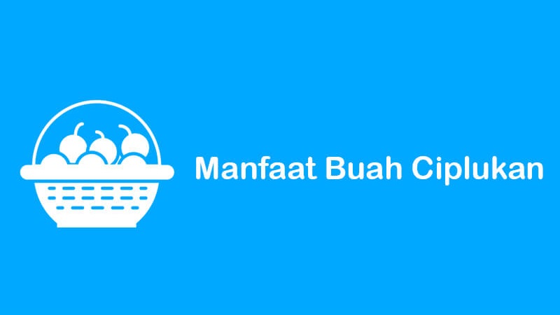 mengenal manfaat dan kandungan gizi buah ciplukan