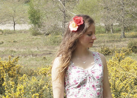 amongst the blossom and gorse