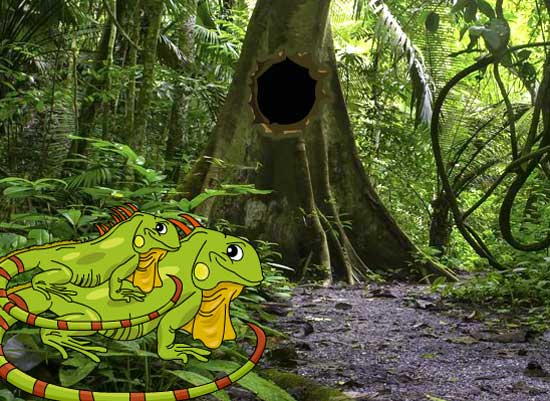 Iguana Forest Escape Juegos Solución