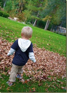 leaves 1