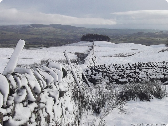 kirkcarrion again