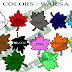 COLORS / WARNA