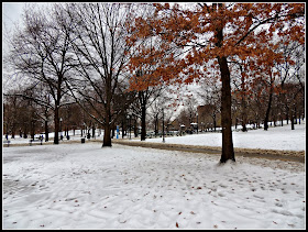 Invierno 2013-2014 Boston Common