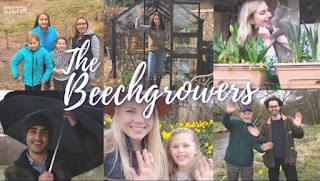 The Beechgrowers