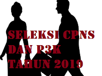 Seleksi ASN 2019 Dibuka Oktober, BKN Proyeksikan Pelamar Capai 5,5 Juta