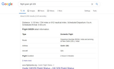 showing flight detail on google