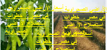 أسعار الأراضي الصحراوية في مصر -  خطوات استصلاح الأراضي الصحراوية