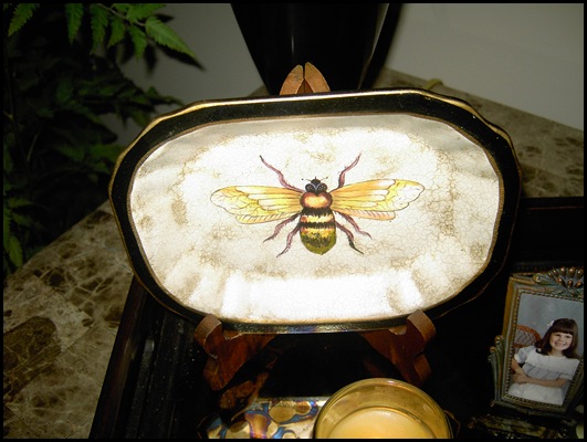 insects 006