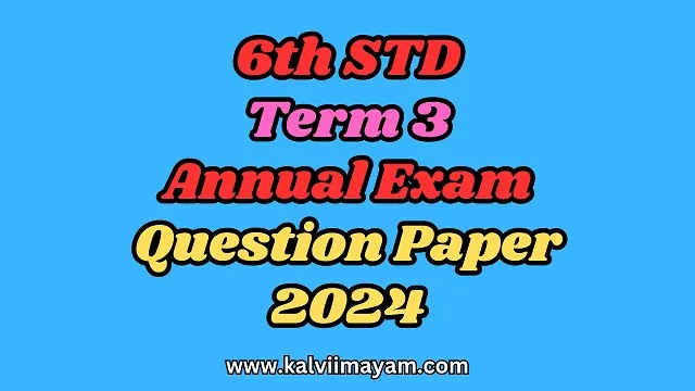 6th Annual Exam Term 3 Question Paper 2024