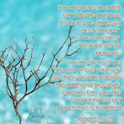 You are here on earth for a divine purpose. It is not to be endlessly entertained or to be constantly in full pursuit of pleasure. You are here to be tried, to prove yourself so that you can receive the additional blessings God has for you. The tempering effect of patience is required. - Richard G. Scott