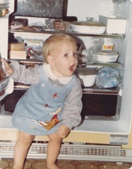 fridge