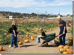 pumpkin patch 055